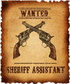 Sheriff Assistant